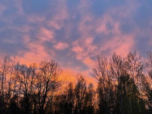 434408315 10234032054126222 8009325337439262068 n